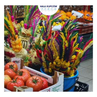 Instagram post from hala_kupcow_wroclaw. This post is in position 1.