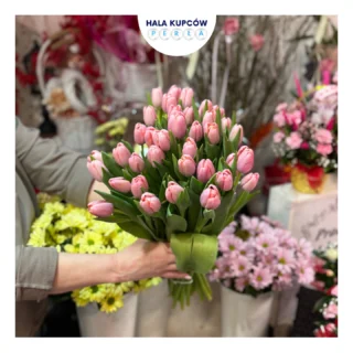 Instagram post from hala_kupcow_wroclaw. This post is in position 5.